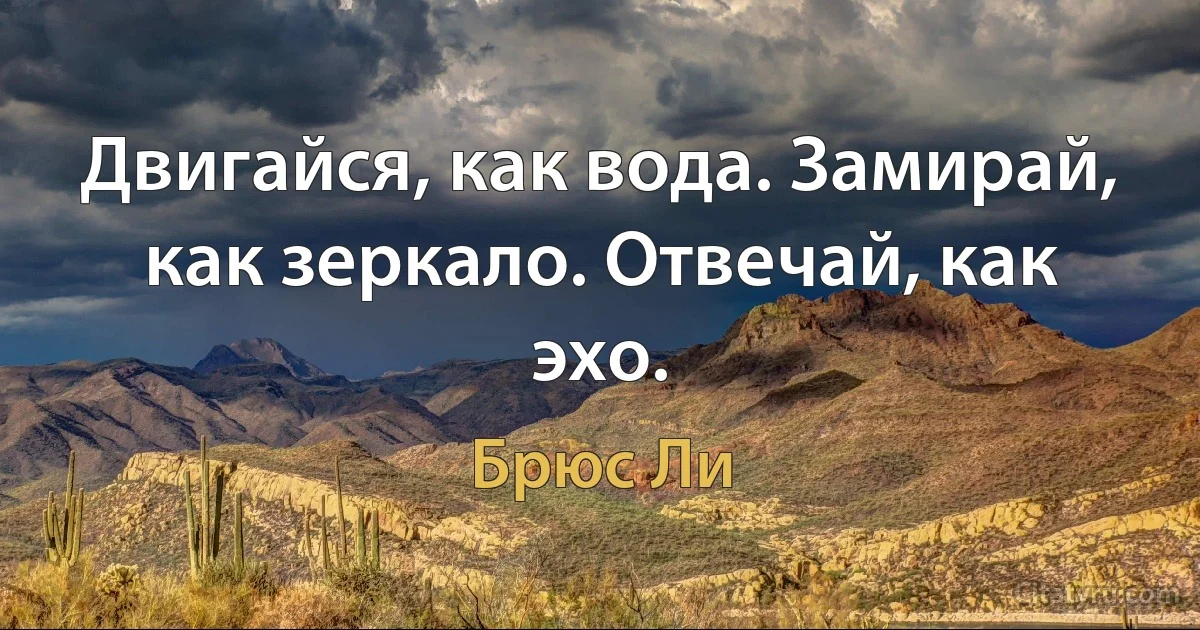 Двигайся, как вода. Замирай, как зеркало. Отвечай, как эхо. (Брюс Ли)