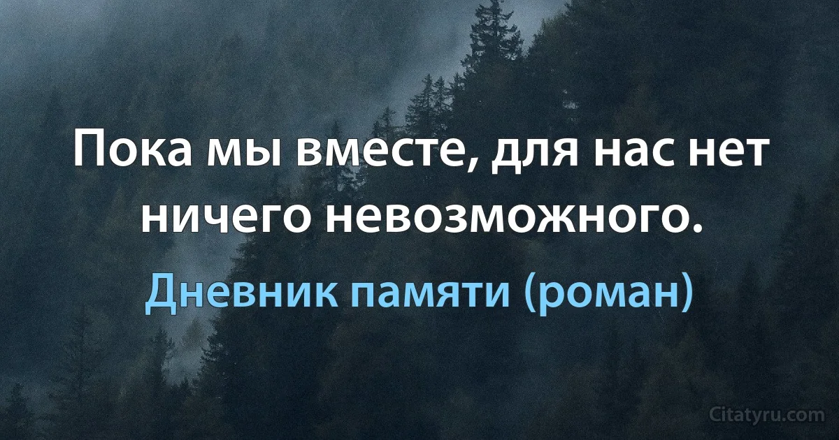 Пока мы вместе, для нас нет ничего невозможного. (Дневник памяти (роман))