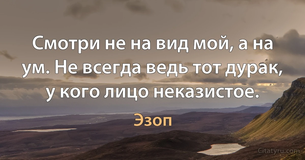 Смотри не на вид мой, а на ум. Не всегда ведь тот дурак, у кого лицо неказистое. (Эзоп)