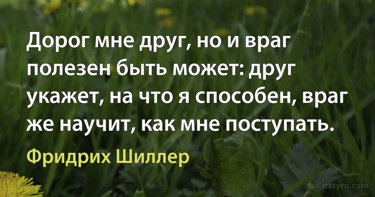 Дорог мне друг, но и враг полезен быть может: друг укажет, на что я способен, враг же научит, как мне поступать. (Фридрих Шиллер)