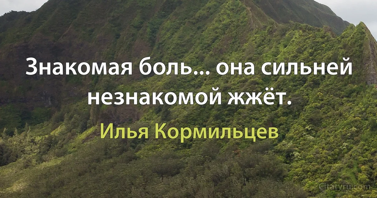 Знакомая боль... она сильней незнакомой жжёт. (Илья Кормильцев)