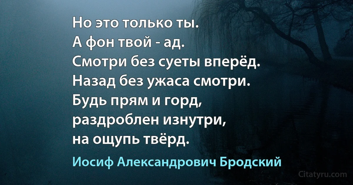 Но это только ты.
А фон твой - ад.
Смотри без суеты вперёд.
Назад без ужаса смотри.
Будь прям и горд,
раздроблен изнутри,
на ощупь твёрд. (Иосиф Александрович Бродский)