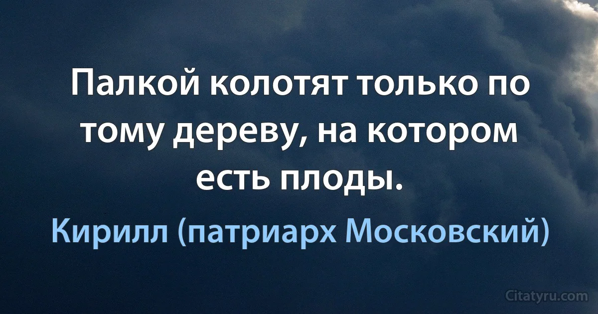 Палкой колотят только по тому дереву, на котором есть плоды. (Кирилл (патриарх Московский))