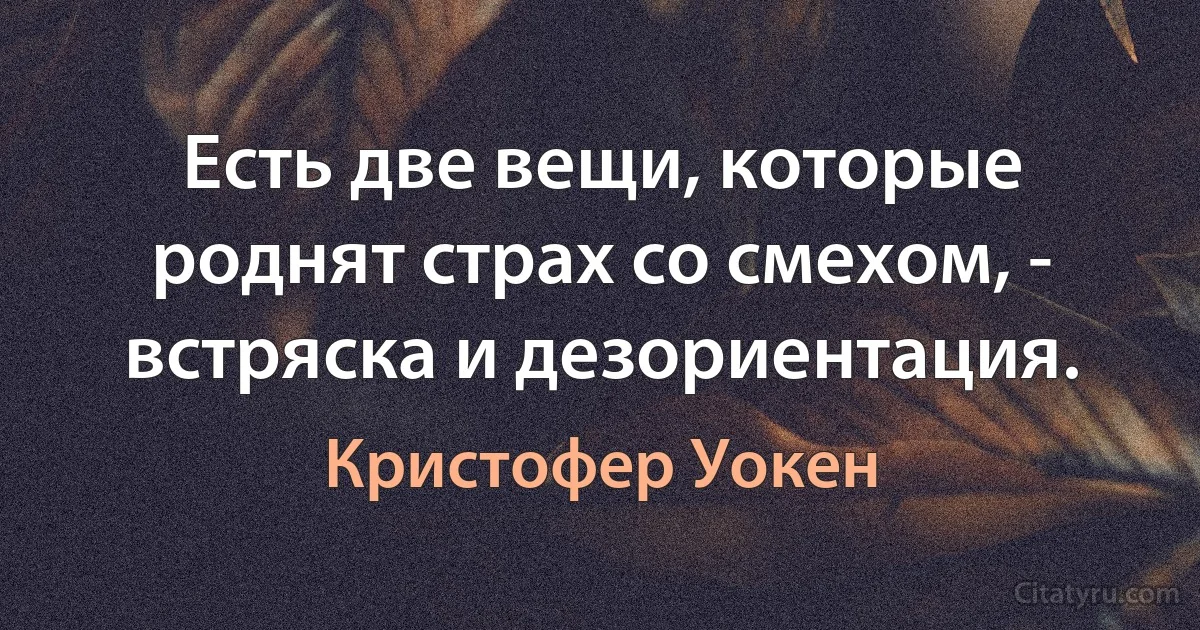 Есть две вещи, которые роднят страх со смехом, - встряска и дезориентация. (Кристофер Уокен)