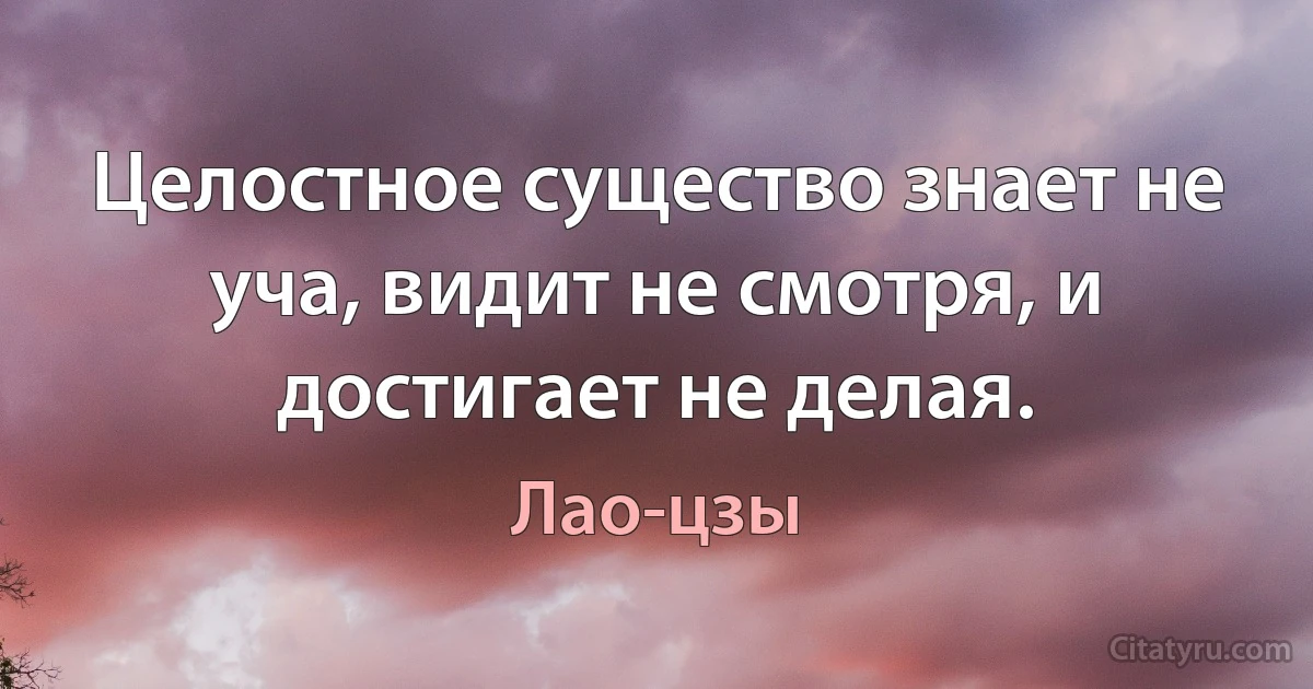 Целостное существо знает не уча, видит не смотря, и достигает не делая. (Лао-цзы)