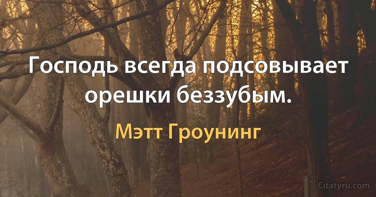 Господь всегда подсовывает орешки беззубым. (Мэтт Гроунинг)