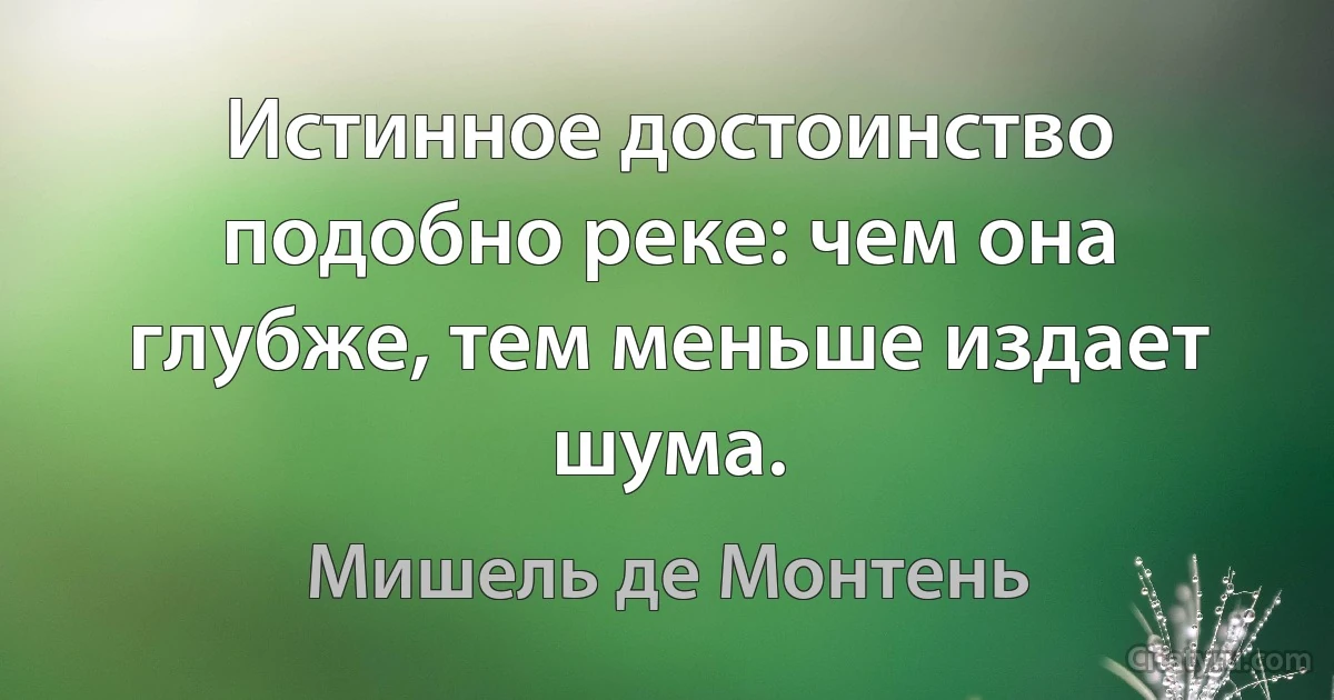 Истинное достоинство подобно реке: чем она глубже, тем меньше издает шума. (Мишель де Монтень)