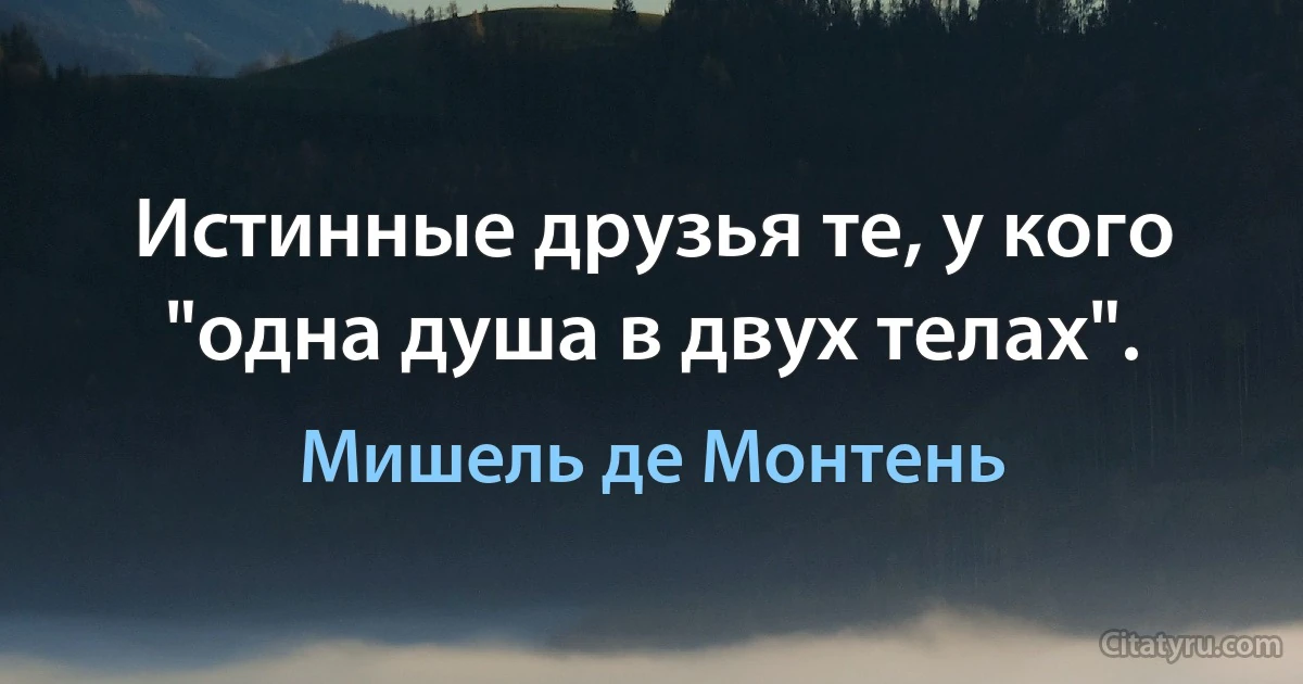 Истинные друзья те, у кого "одна душа в двух телах". (Мишель де Монтень)