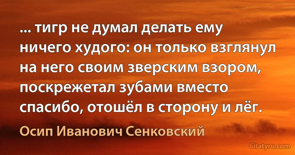 ... тигр не думал делать ему ничего худого: он только взглянул на него своим зверским взором, поскрежетал зубами вместо спасибо, отошёл в сторону и лёг. (Осип Иванович Сенковский)