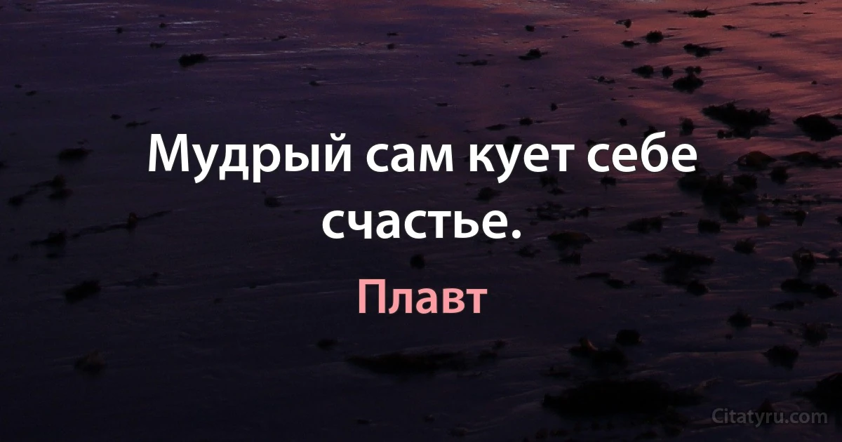 Мудрый сам кует себе счастье. (Плавт)