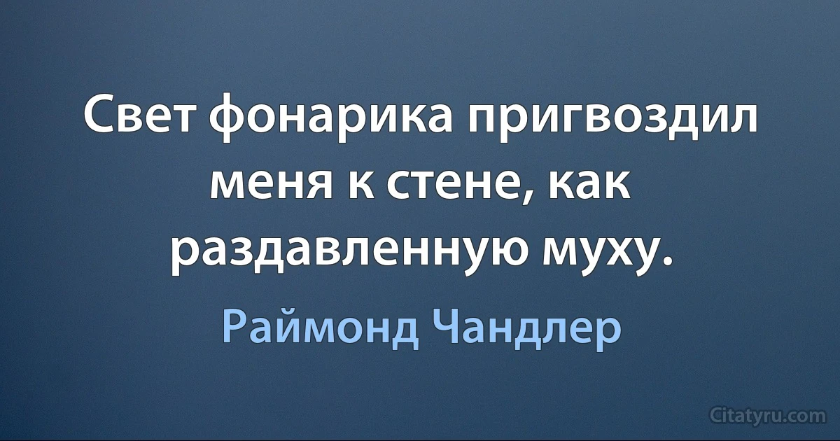 Свет фонарика пригвоздил меня к стене, как раздавленную муху. (Раймонд Чандлер)