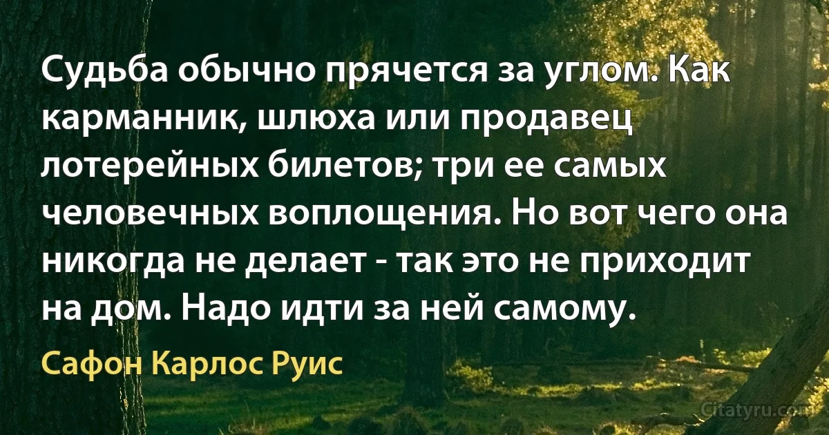 Судьба обычно прячется за углом. Как карманник, шлюха или продавец лотерейных билетов; три ее самых человечных воплощения. Но вот чего она никогда не делает - так это не приходит на дом. Надо идти за ней самому. (Сафон Карлос Руис)