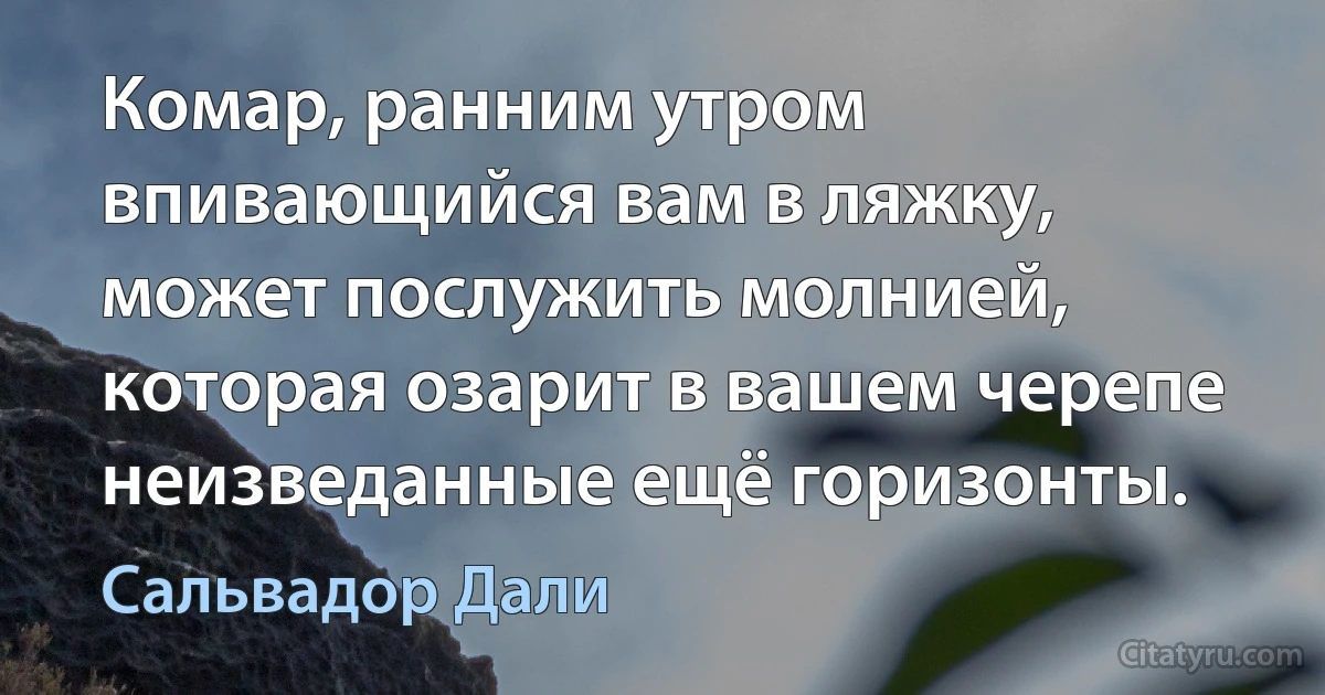 Комар, ранним утром впивающийся вам в ляжку, может послужить молнией, которая озарит в вашем черепе неизведанные ещё горизонты. (Сальвадор Дали)