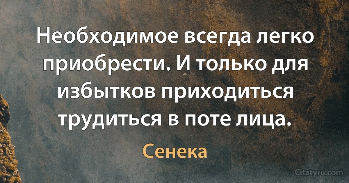 Необходимое всегда легко приобрести. И только для избытков приходиться трудиться в поте лица. (Сенека)