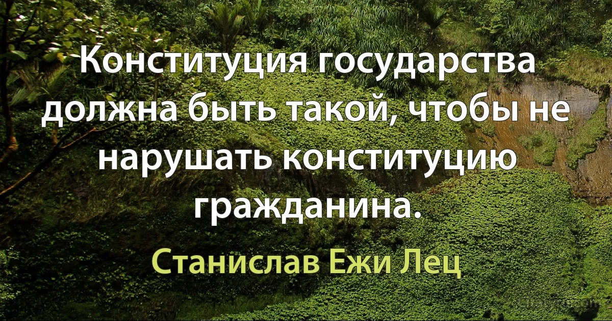 Конституция государства должна быть такой, чтобы не нарушать конституцию гражданина. (Станислав Ежи Лец)