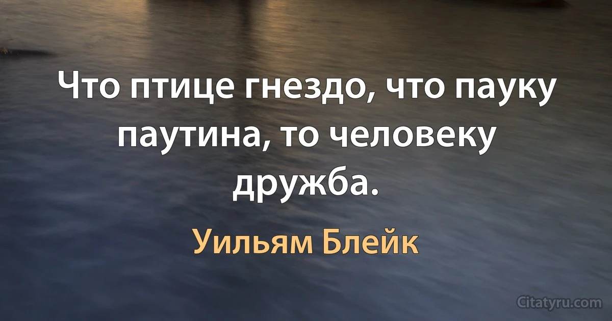 Что птице гнездо, что пауку паутина, то человеку дружба. (Уильям Блейк)