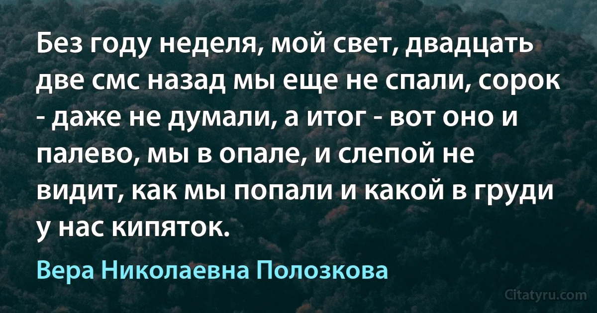 Без году неделя, мой свет, двадцать две смс назад мы еще не спали, сорок - даже не думали, а итог - вот оно и палево, мы в опале, и слепой не видит, как мы попали и какой в груди у нас кипяток. (Вера Николаевна Полозкова)