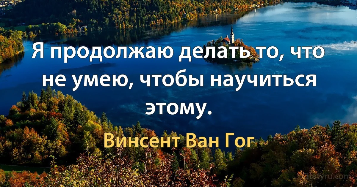 Я продолжаю делать то, что не умею, чтобы научиться этому. (Винсент Ван Гог)