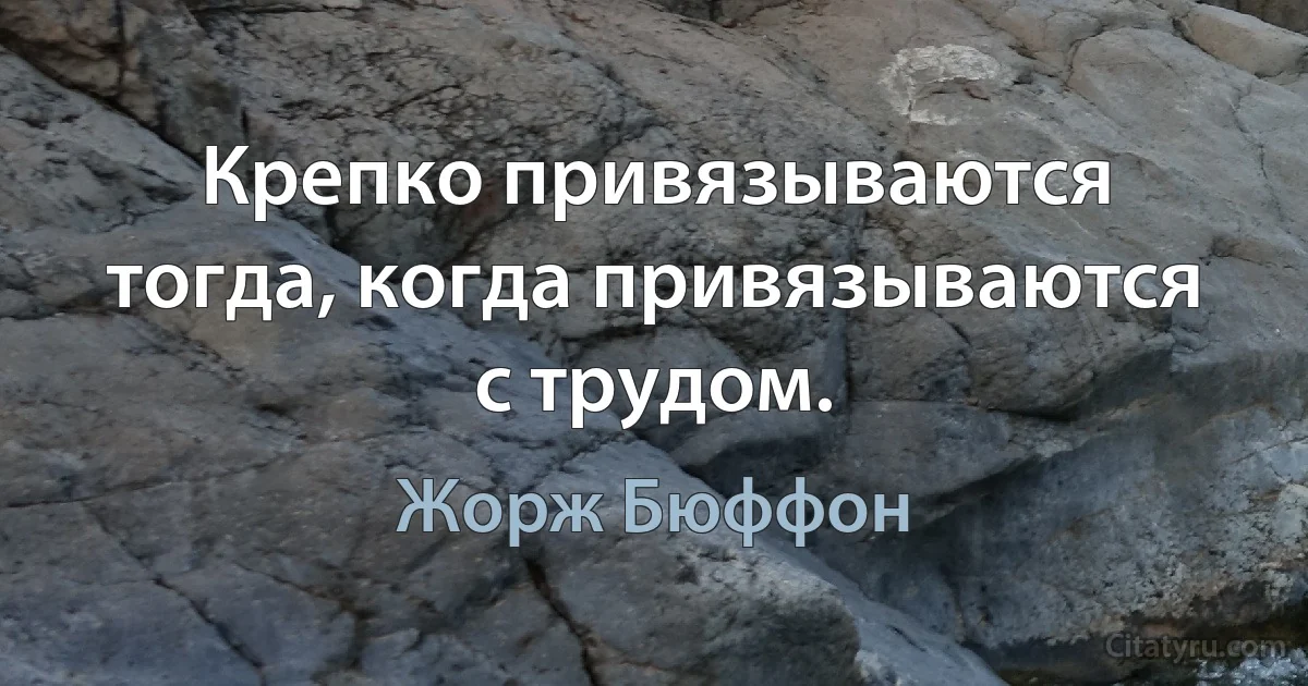 Крепко привязываются тогда, когда привязываются с трудом. (Жорж Бюффон)