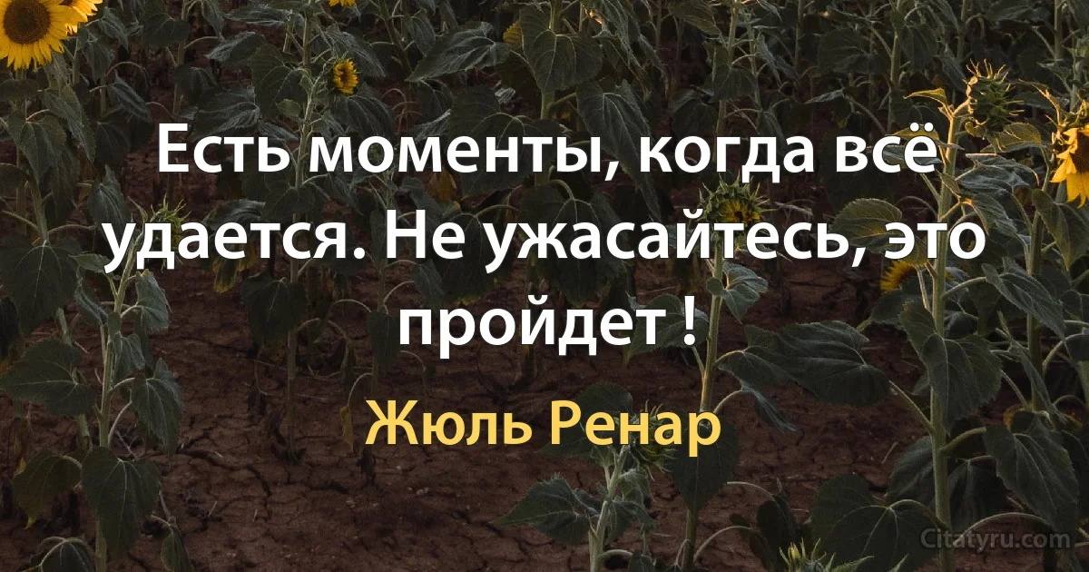 Есть моменты, когда всё удается. Не ужасайтесь, это пройдет ! (Жюль Ренар)