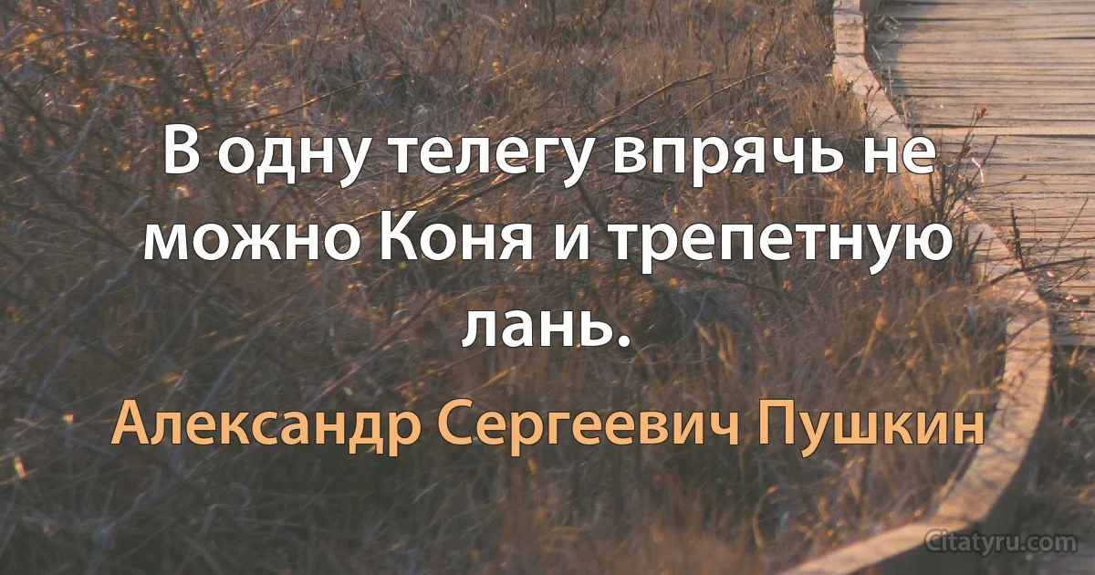 В одну телегу впрячь не можно Коня и трепетную лань. (Александр Сергеевич Пушкин)