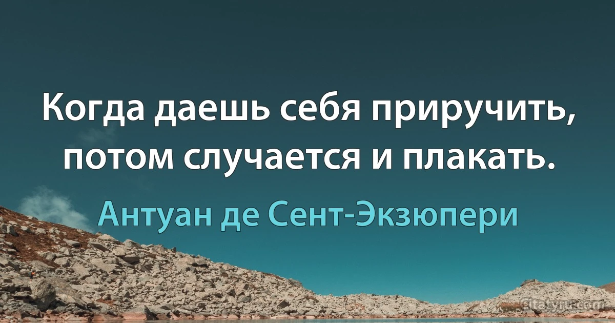 Когда даешь себя приручить, потом случается и плакать. (Антуан де Сент-Экзюпери)