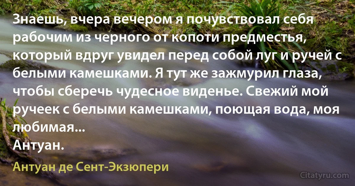 Знаешь, вчера вечером я почувствовал себя рабочим из черного от копоти предместья, который вдруг увидел перед собой луг и ручей с белыми камешками. Я тут же зажмурил глаза, чтобы сберечь чудесное виденье. Свежий мой ручеек с белыми камешками, поющая вода, моя любимая...
Антуан. (Антуан де Сент-Экзюпери)