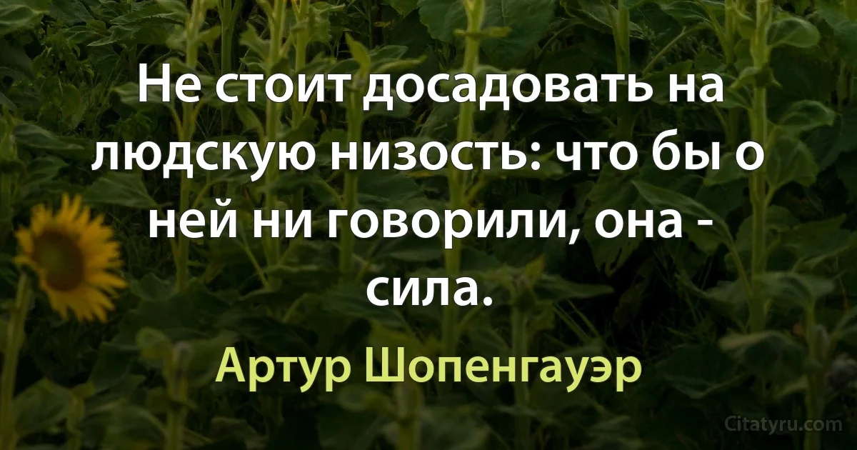 Не стоит досадовать на людскую низость: что бы о ней ни говорили, она - сила. (Артур Шопенгауэр)