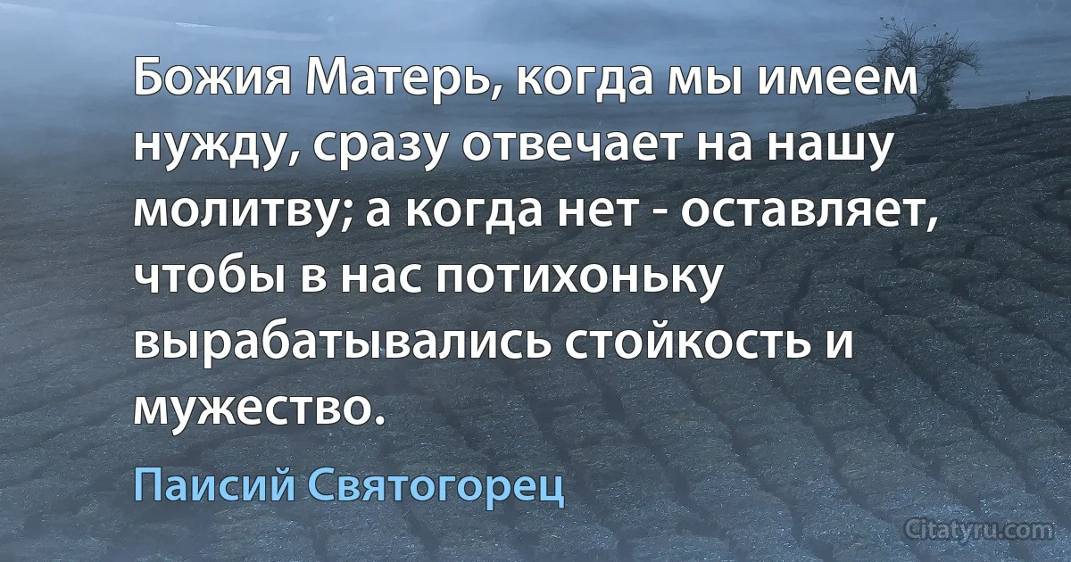 Божия Матерь, когда мы имеем нужду, сразу отвечает на нашу молитву; а когда нет - оставляет, чтобы в нас потихоньку вырабатывались стойкость и мужество. (Паисий Святогорец)