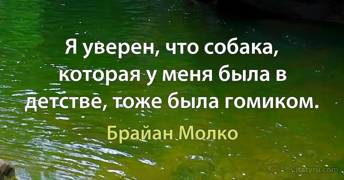 Я уверен, что собака, которая у меня была в детстве, тоже была гомиком. (Брайан Молко)