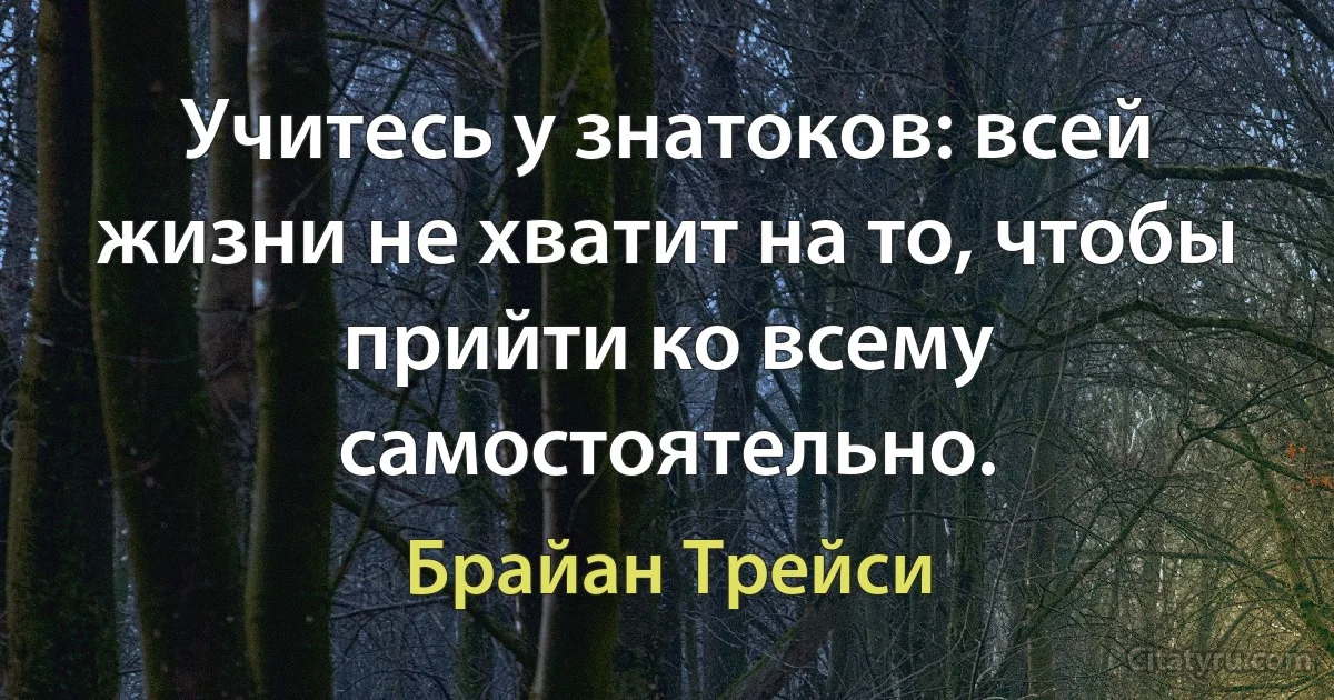 Учитесь у знатоков: всей жизни не хватит на то, чтобы прийти ко всему самостоятельно. (Брайан Трейси)