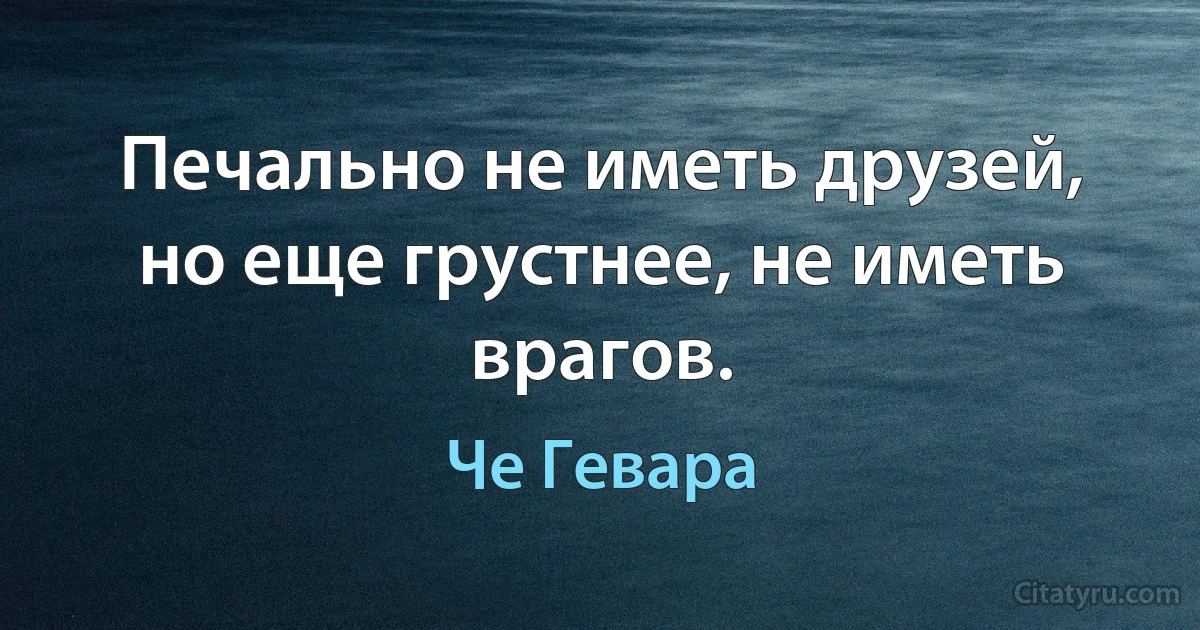 Печально не иметь друзей, но еще грустнее, не иметь врагов. (Че Гевара)