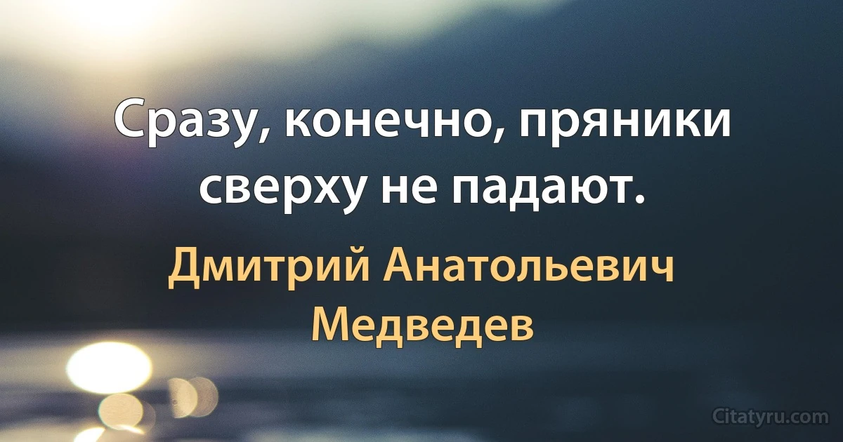 Сразу, конечно, пряники сверху не падают. (Дмитрий Анатольевич Медведев)