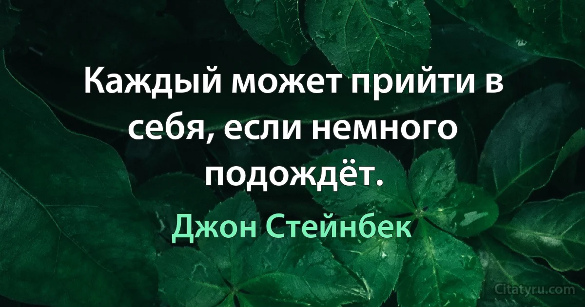 Каждый может прийти в себя, если немного подождёт. (Джон Стейнбек)