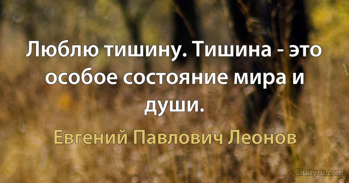 Люблю тишину. Тишина - это особое состояние мира и души. (Евгений Павлович Леонов)