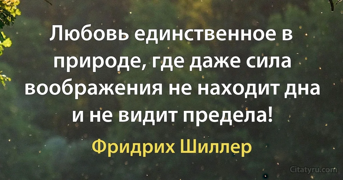 Любовь единственное в природе, где даже сила воображения не находит дна и не видит предела! (Фридрих Шиллер)