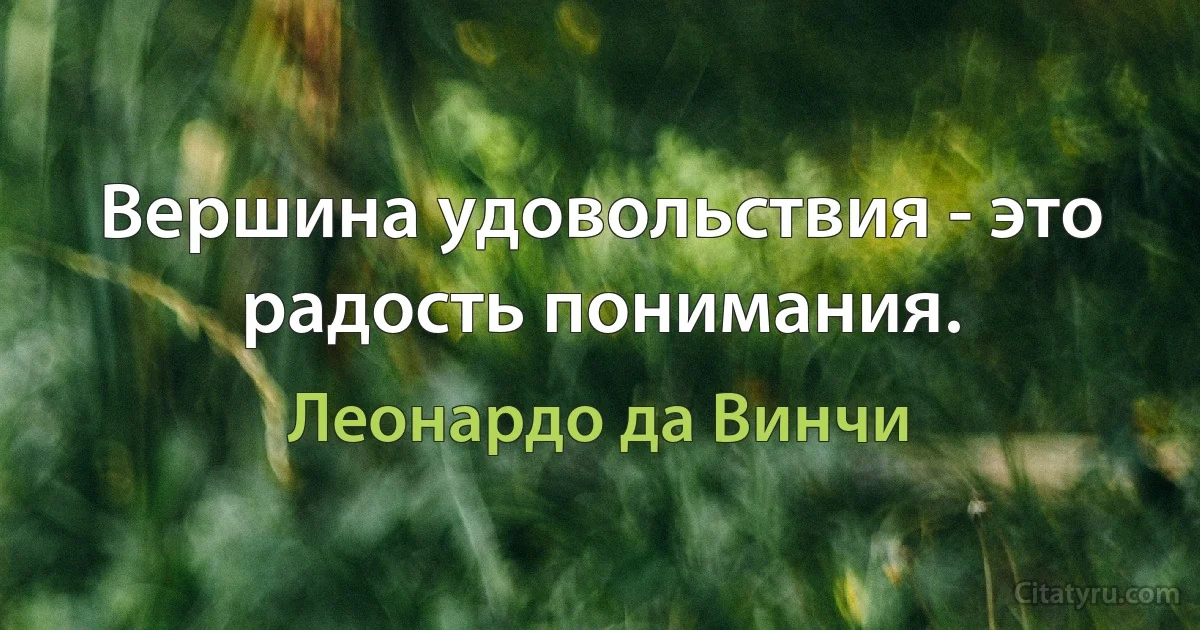 Вершина удовольствия - это радость понимания. (Леонардо да Винчи)