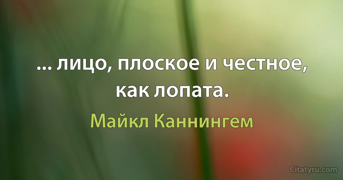 ... лицо, плоское и честное, как лопата. (Майкл Каннингем)