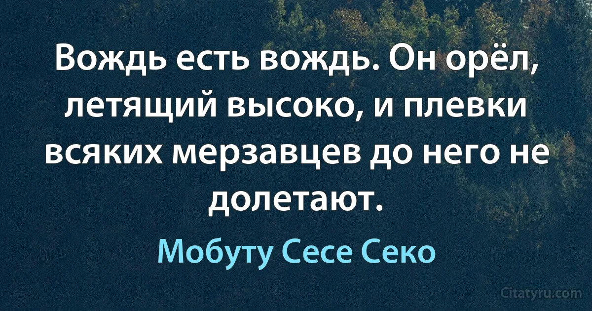 Вождь есть вождь. Он орёл, летящий высоко, и плевки всяких мерзавцев до него не долетают. (Мобуту Сесе Секо)