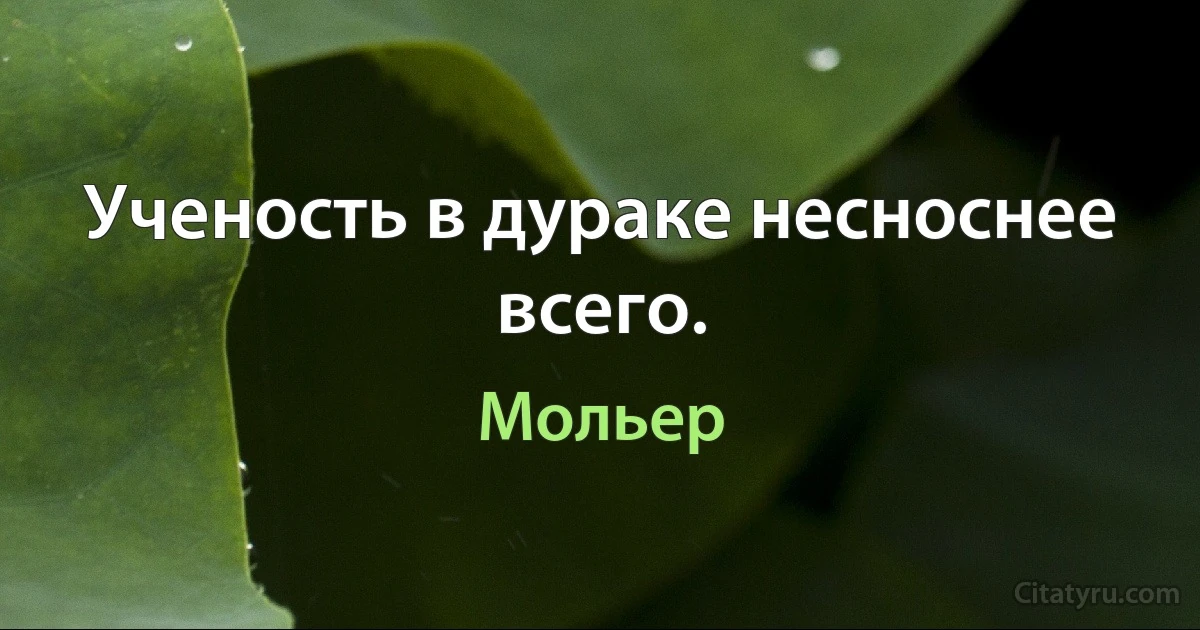 Ученость в дураке несноснее всего. (Мольер)