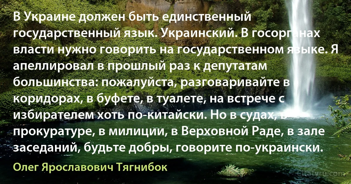 В Украине должен быть единственный государственный язык. Украинский. В госорганах власти нужно говорить на государственном языке. Я апеллировал в прошлый раз к депутатам большинства: пожалуйста, разговаривайте в коридорах, в буфете, в туалете, на встрече с избирателем хоть по-китайски. Но в судах, в прокуратуре, в милиции, в Верховной Раде, в зале заседаний, будьте добры, говорите по-украински. (Олег Ярославович Тягнибок)