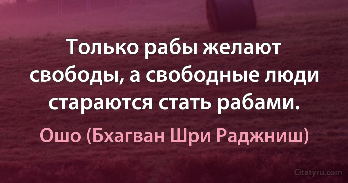 Только рабы желают свободы, а свободные люди стараются стать рабами. (Ошо (Бхагван Шри Раджниш))