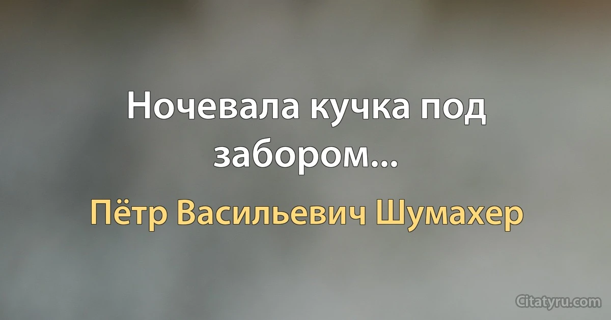 Ночевала кучка под забором... (Пётр Васильевич Шумахер)