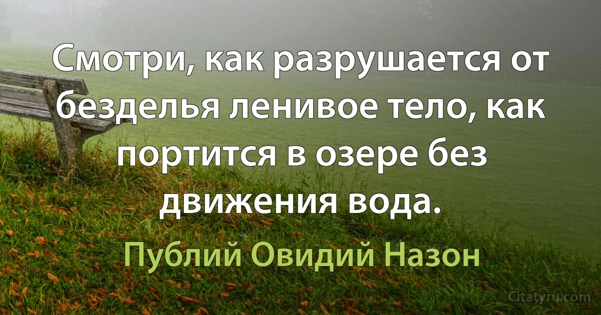 Смотри, как разрушается от безделья ленивое тело, как портится в озере без движения вода. (Публий Овидий Назон)