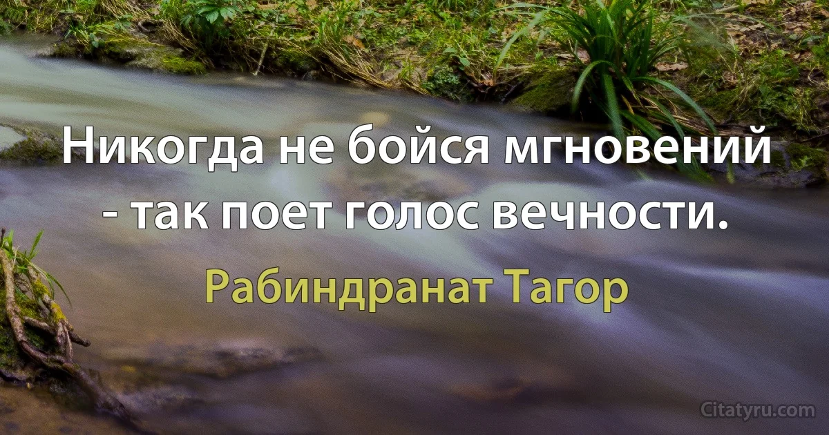 Никогда не бойся мгновений - так поет голос вечности. (Рабиндранат Тагор)