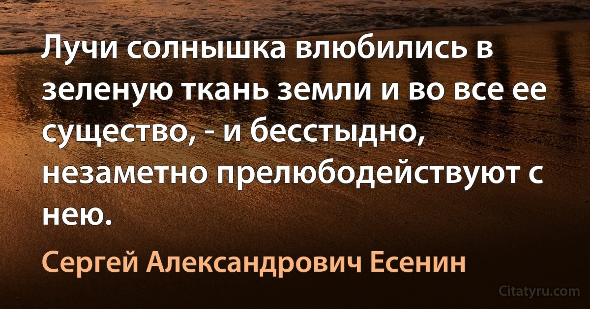 Лучи солнышка влюбились в зеленую ткань земли и во все ее существо, - и бесстыдно, незаметно прелюбодействуют с нею. (Сергей Александрович Есенин)