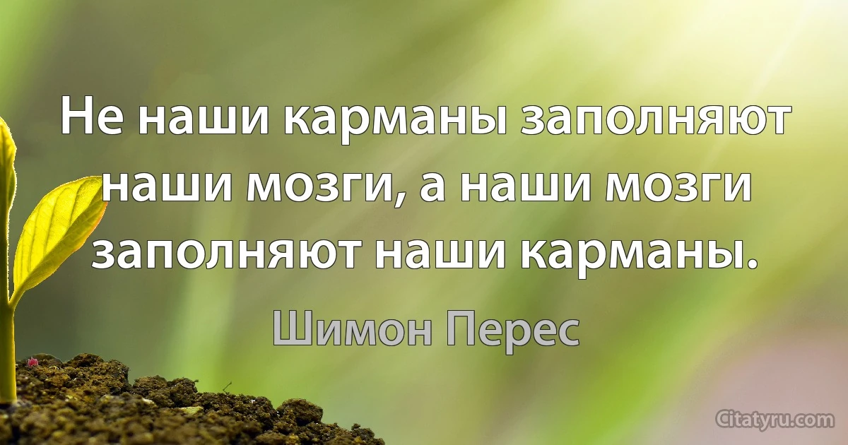 Не наши карманы заполняют наши мозги, а наши мозги заполняют наши карманы. (Шимон Перес)