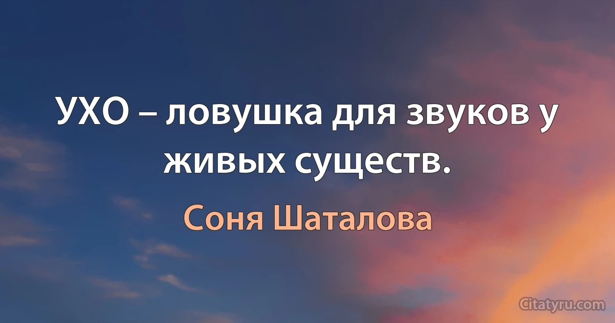 УХО – ловушка для звуков у живых существ. (Соня Шаталова)