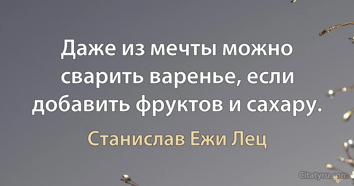 Даже из мечты можно сварить варенье, если добавить фруктов и сахару. (Станислав Ежи Лец)