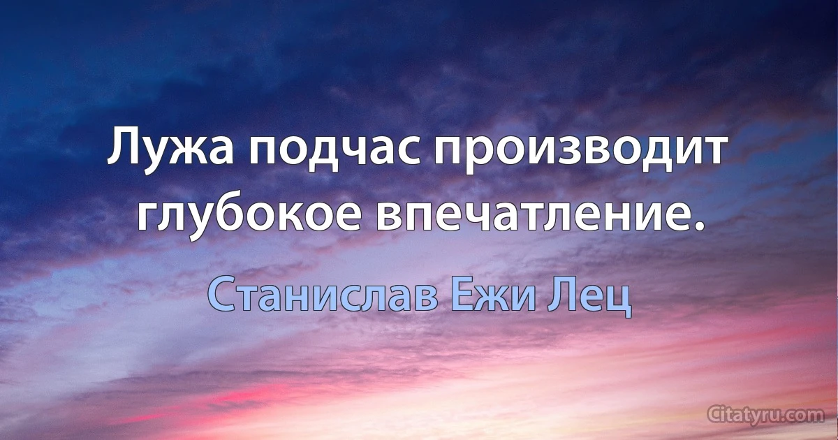 Лужа подчас производит глубокое впечатление. (Станислав Ежи Лец)